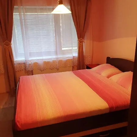 公寓 Sergej 2 索科矿泉村