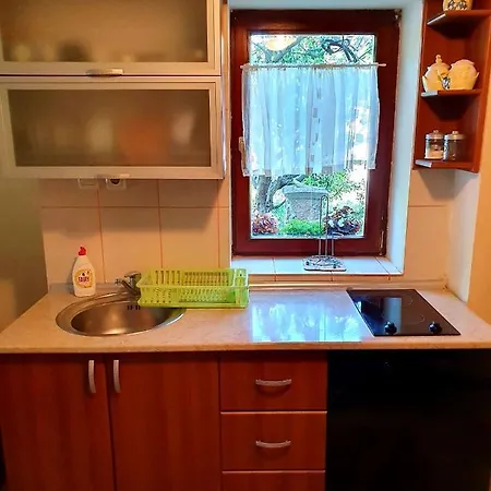 Sergej 2 * 索科矿泉村