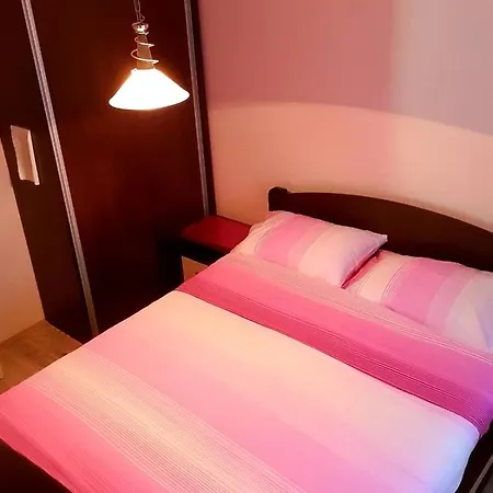 公寓 Sergej 2 索科矿泉村