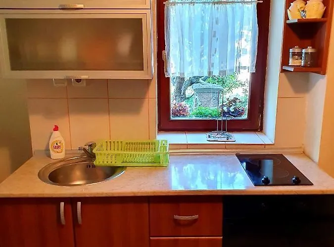 Sergej 2 * Сокобаня